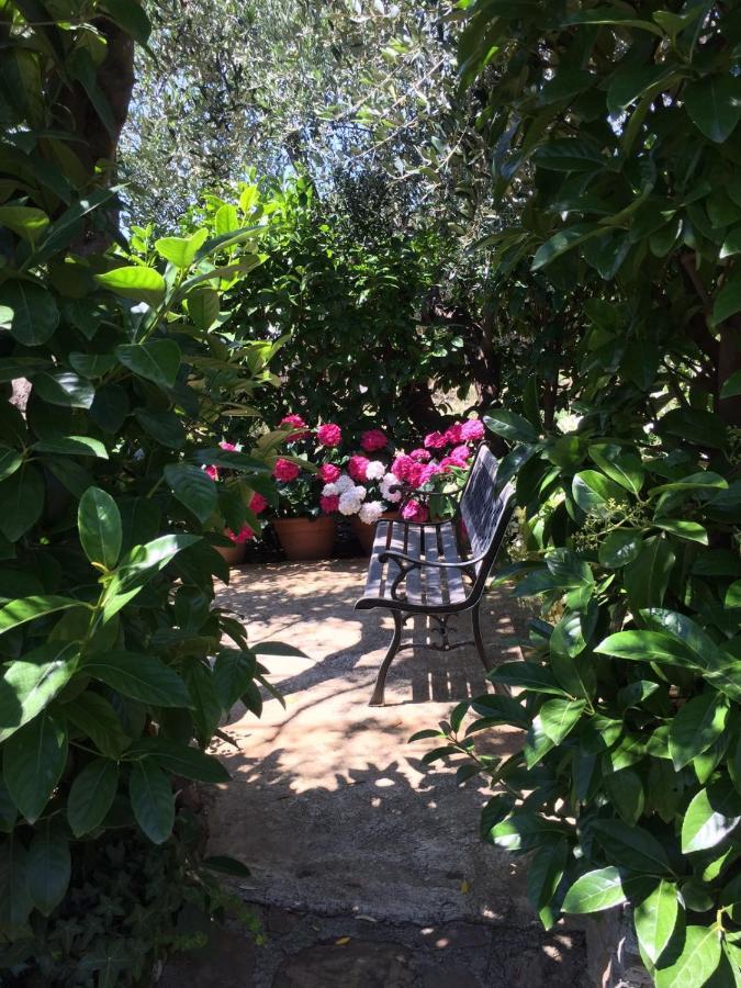 B&B Villa Isabella Imperia Dış mekan fotoğraf